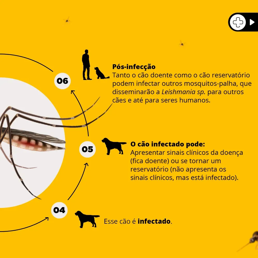 Coleira Antiparasita Scalibor 65 cm Proteção - outro ângulo - foto 4 de 4